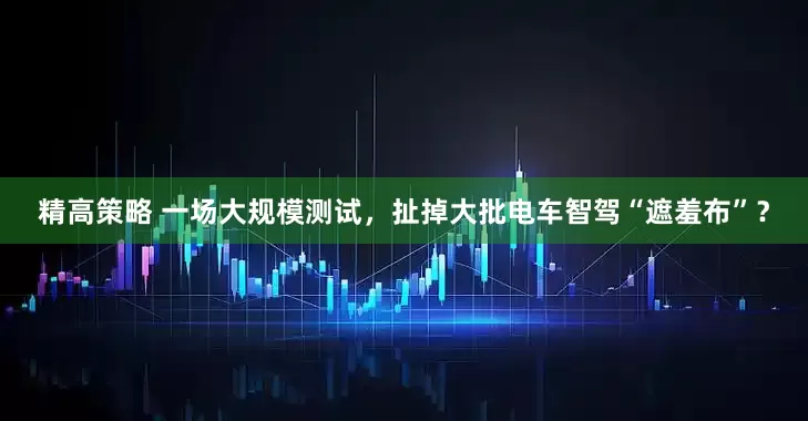 精高策略 一场大规模测试，扯掉大批电车智驾“遮羞布”？