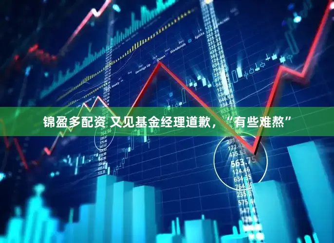 锦盈多配资 又见基金经理道歉，“有些难熬”