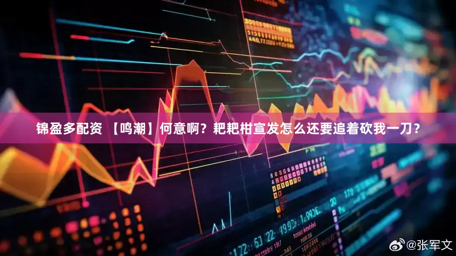 锦盈多配资 【鸣潮】何意啊？耙耙柑宣发怎么还要追着砍我一刀？